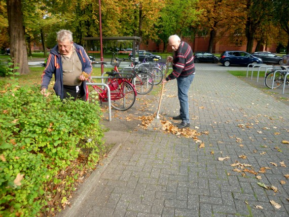 AWZ-WHV-Herbstlaub-2017